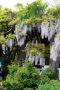 [Bill Cunningham - NYC]